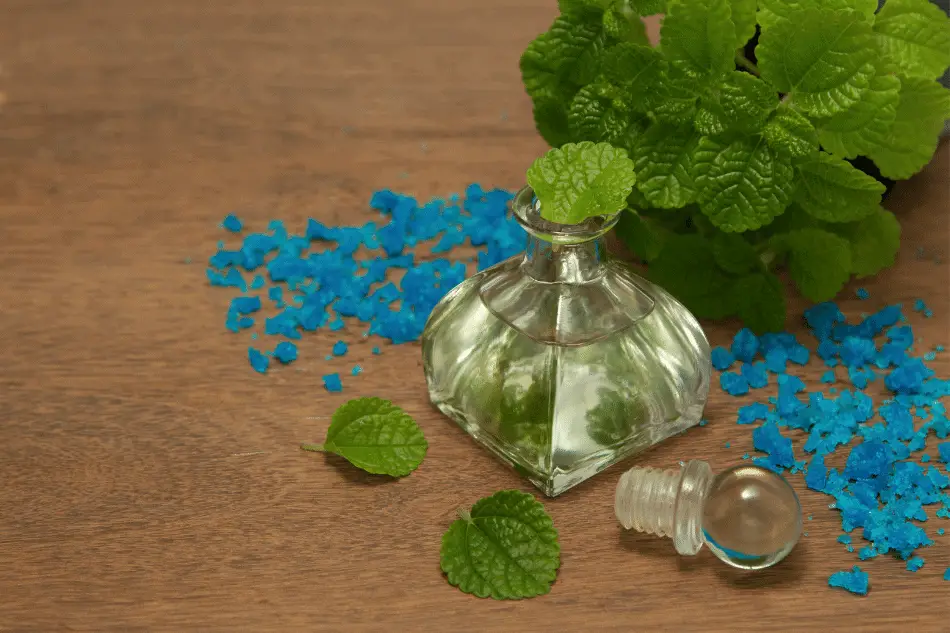 How To Make Peppermint Oil Spray For Squirrels? Flora Crossing