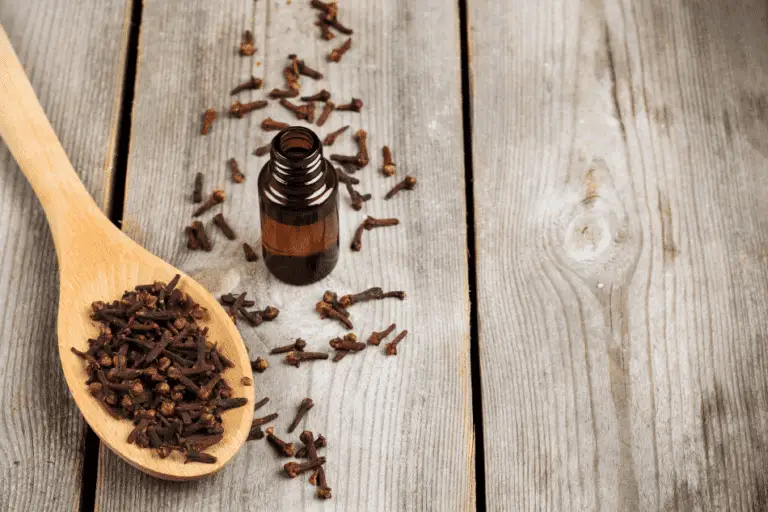 how-to-use-clove-oil-for-toenail-fungus-flora-crossing